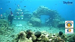 Klicke auf die Grafik fr eine grere Ansicht

Name:	Screenshot 2022-12-12 at 11-25-56 Webcam Unterwasserkamera in Karavostasi - Kreta SkylineWebcams.jpg
Hits:	209
Gre:	181,5 KB
ID:	100215