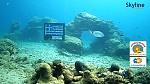 Klicke auf die Grafik fr eine grere Ansicht

Name:	Screenshot 2023-03-02 at 10-28-32 Webcam Unterwasserkamera in Karavostasi - Kreta SkylineWebcams.jpg
Hits:	147
Gre:	176,7 KB
ID:	100565