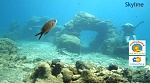 Klicke auf die Grafik fr eine grere Ansicht

Name:	Screenshot 2023-04-12 at 12-07-59 Webcam Unterwasserkamera in Karavostasi - Kreta SkylineWebcams.jpg
Hits:	149
Gre:	134,1 KB
ID:	100806