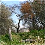 Klicke auf die Grafik für eine größere Ansicht
Name: 10-20250303athen+glyfada1252akropolisimgras.jpg
Hits: 259
Größe: 297,8 KB
ID: 102959