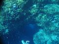 Klicke auf die Grafik fr eine grere Ansicht

Name:	2008.06.18 Kreta Plakias Unterwasser 124.jpg
Hits:	411
Gre:	84,5 KB
ID:	69636