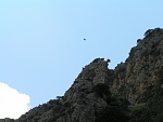 Klicke auf die Grafik fr eine grere Ansicht

Name:	Kreta Juni 2005 047.jpg
Hits:	641
Gre:	157,6 KB
ID:	86787