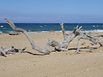 Klicke auf die Grafik fr eine grere Ansicht

Name:	85 Ag. Ioannis Beach.jpg
Hits:	280
Gre:	671,5 KB
ID:	90093
