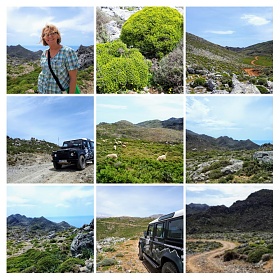 Klicke auf die Grafik für eine größere Ansicht

Name:	20190519_183046-COLLAGE.jpg
Hits:	368
Größe:	432,2 KB
ID:	95627