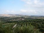 Klicke auf die Grafik fr eine grere Ansicht

Name:	Kreta, Kissamos 30.08.-13.09.2008 (63).jpg
Hits:	422
Gre:	114,7 KB
ID:	20907